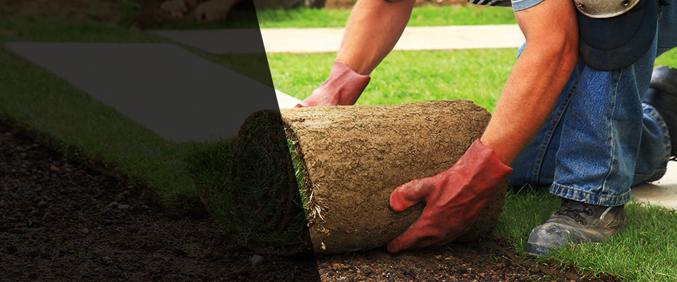 Saint Marys Landscapers